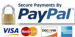 secure_payment_by_paypal